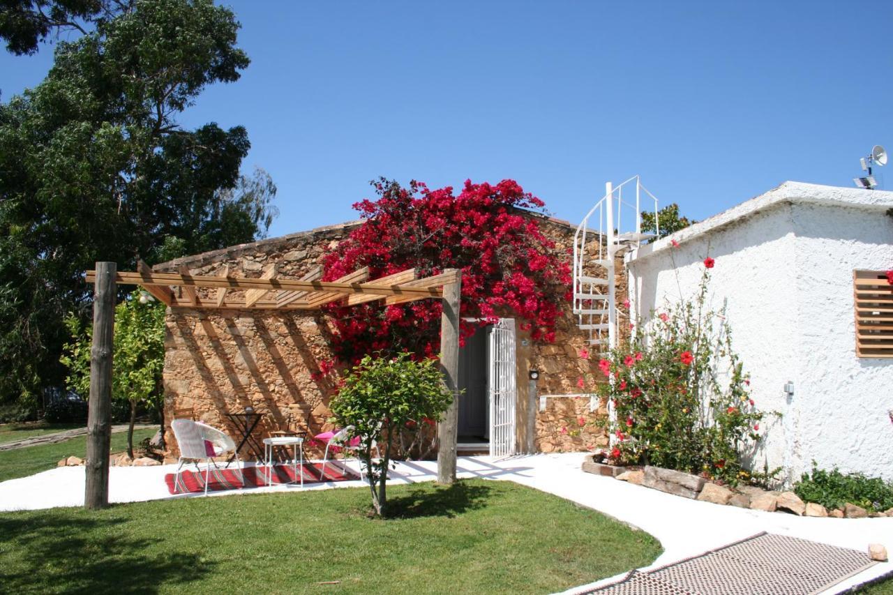 Le Rondini Bed & Breakfast Montras Exterior photo