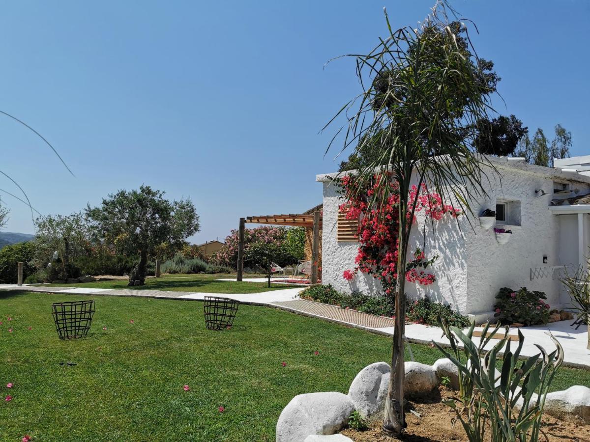 Le Rondini Bed & Breakfast Montras Exterior photo