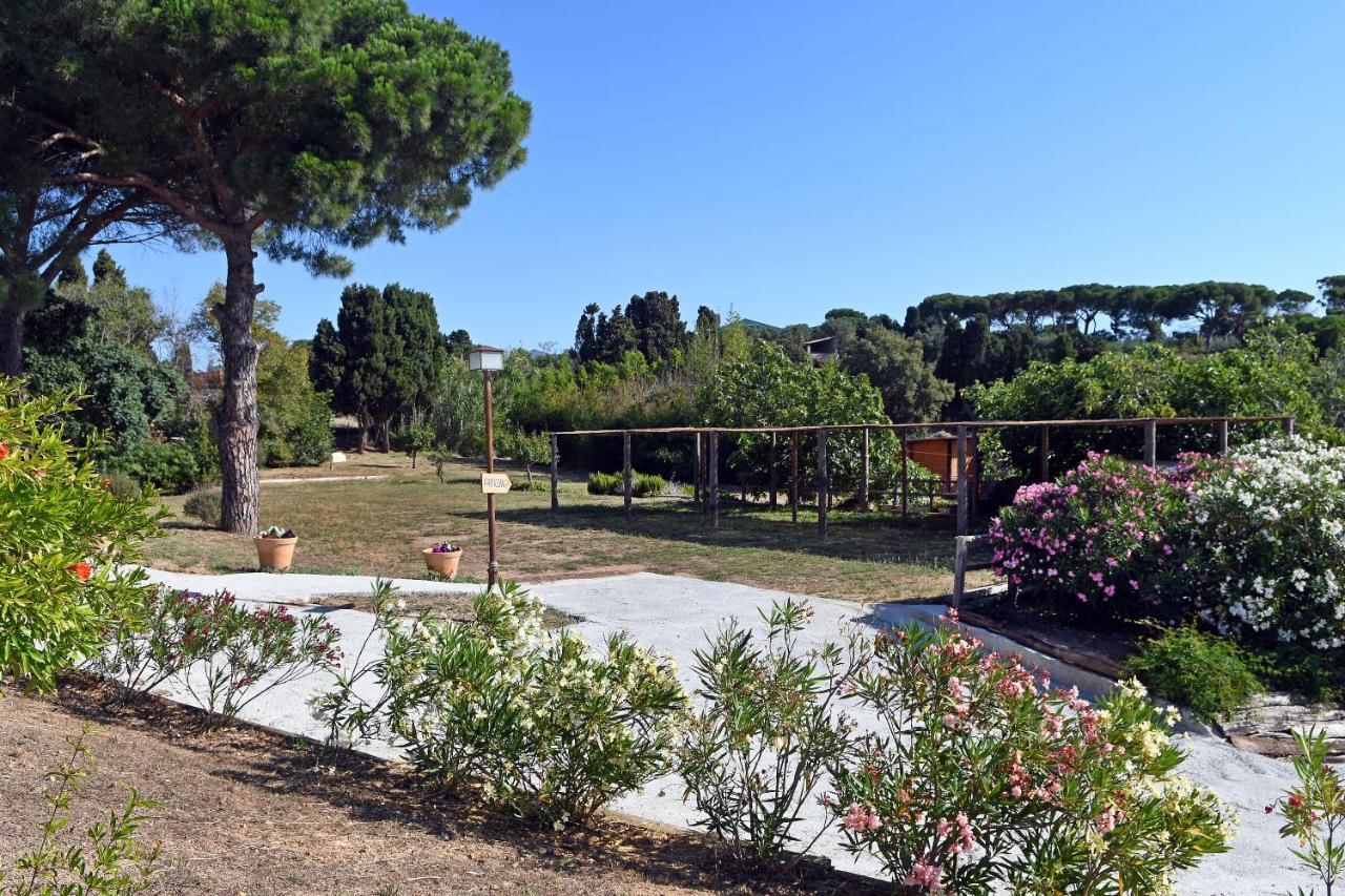 Le Rondini Bed & Breakfast Montras Exterior photo